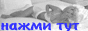 Click here for EroticTOP 100